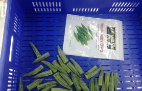 Qingdao Agrilpro Imp. & Exp. Co., Ltd.